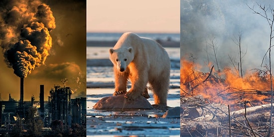 Global Warming Crisis: How Bad Is the Situation? Experts Reveal Shocking New Insights