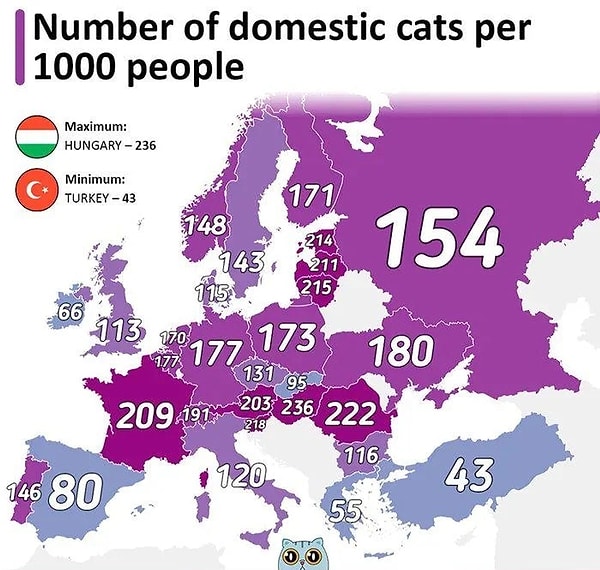 In a European study of the number of pet cats per 1,000 people, Hungary ranks first, while Turkey is at the bottom of the list of countries included in the study.