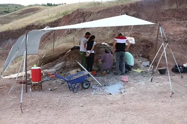 Çankırı - Yapraklı Karayolu üzerinde 'Çorakyerler Omurgalı Fosil Lokalitesi'ndeki kazı çalışmaları tam 27 yıldır sürüyor.