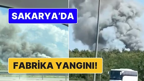 Sakarya'da Bir Fabrikada Çıkan Yangında 12 İşçi Hastaneye Kaldırıldı