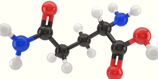 5. Proteinlerin yapı taşları nelerdir?