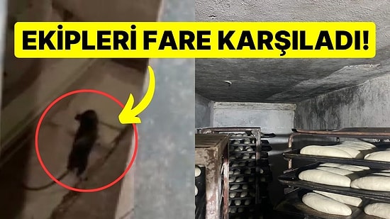 Ekmek Fırınına Hijyen Denetimi: Ekipleri Fare Karşıladı!