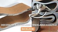 Modern Tasarımıyla Kedilerin Doğal Tırmalama İçgüdüsünü Tatmin Eden Kedi Tırmalama Kanepesi Alınır mı?
