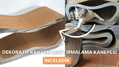 Modern Tasarımıyla Kedilerin Doğal Tırmalama İçgüdüsünü Tatmin Eden Kedi Tırmalama Kanepesi Alınır mı?