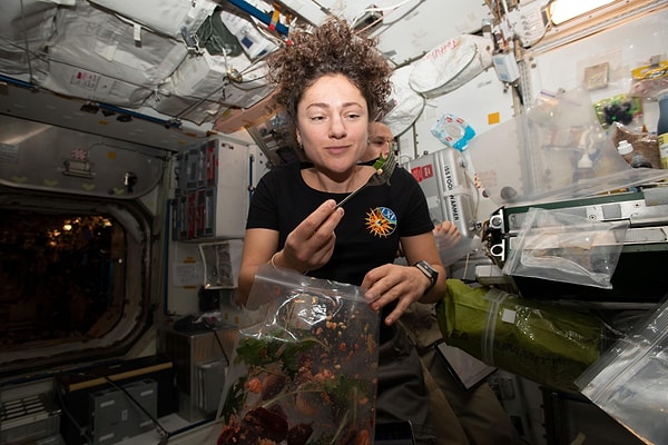 Bu karmaşık yapıyı düzenlemek için NASA, astronotların uzayda bitki yetiştirmesi amacıyla "Veggie" adlı özel bir sistem geliştirdi.