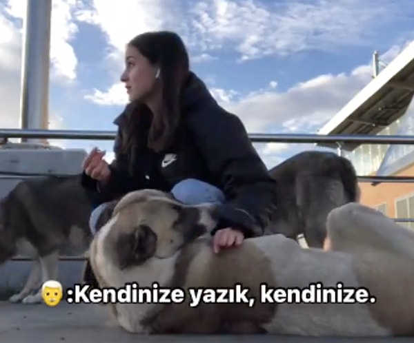 Adam, köpekleri sevdiği için genç kıza "kendinize yazık" diyerek eleştiride bulundu. Ancak genç kız, bu sözlere karşılık vererek durumu tersine çevirdi.