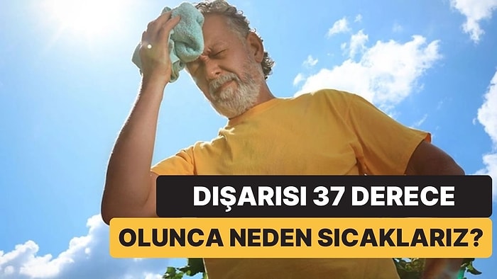 Vücut Sıcaklığımız Dışarıdaki Sıcakla Aynı Derecede Olunca Neden Hemen Bunalırız?