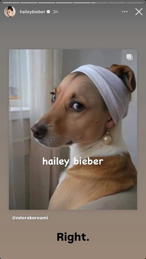 Hailey Bieber