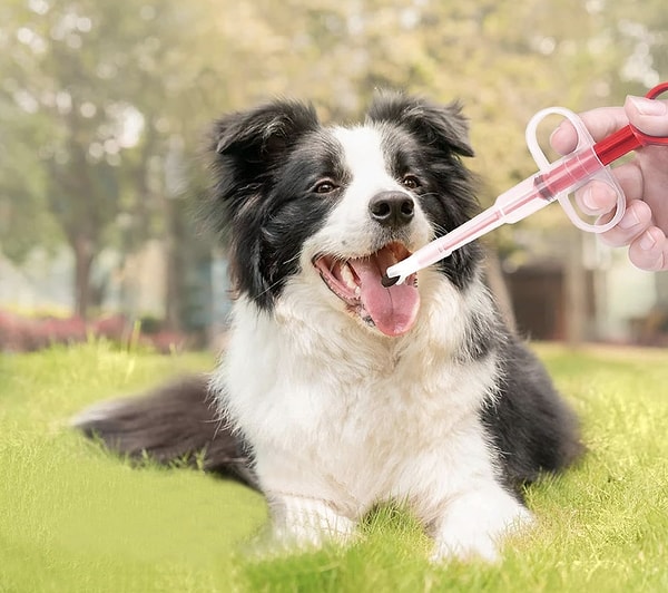 Microcase Evcil Hayvan Kedi Köpek İlaç Yutturma Aparatı