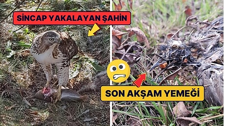 Doğanın Korkutucu Yüzünü İliklerinize Kadar Hissetmenize Sebep Olacak Birbirinden Ürkütücü 15 Yeni Fotoğraf