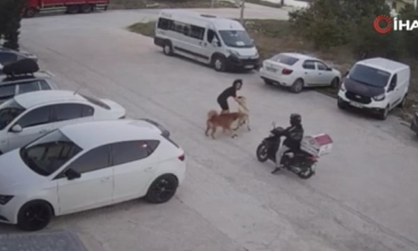 Kadın ve köpeği, olay sırasında sokaktan geçen bir motorlu kuryenin yardımıyla saldırıdan kurtuldu.