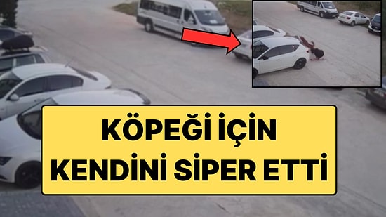 Çerkezköy'de Başıboş Sokak Köpeği Saldırısı: Köpeğini Korumak İsteyen Kadın Kendini Siper Etti!