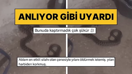 Elazığ’da Evinde Yılanla Karşılaşan Kadın Sohbet Etmeye Başladı: “Sen Buraya Nereden Geldiysen Geri Dön”