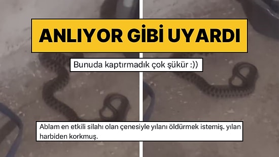 Elazığ’da Evinde Yılanla Karşılaşan Kadın Sohbet Etmeye Başladı: “Sen Buraya Nereden Geldiysen Geri Dön”