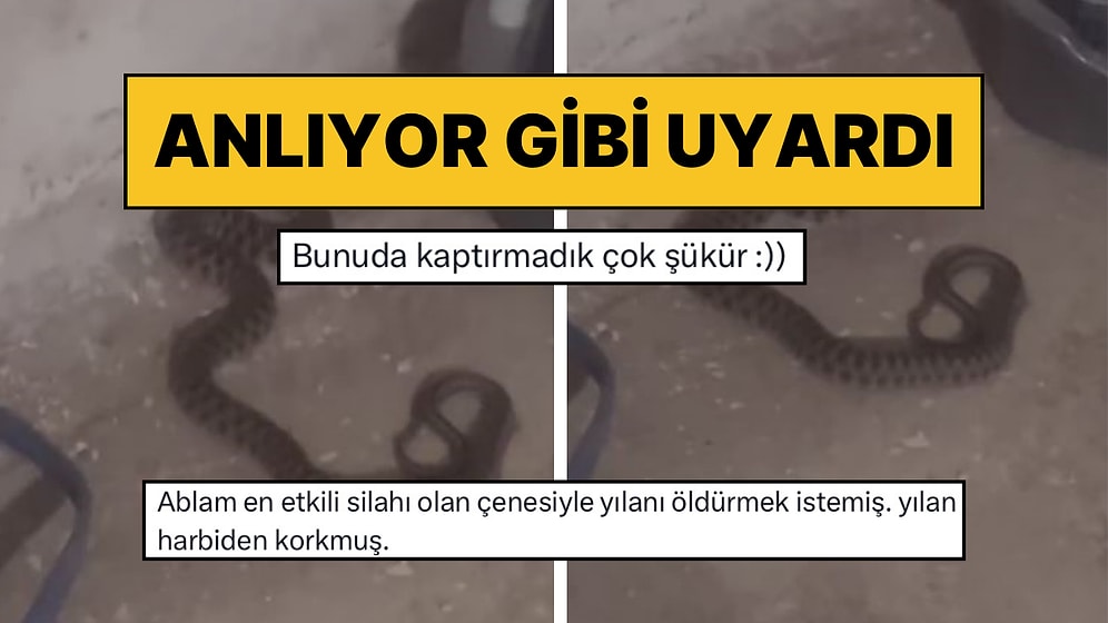 Elazığ’da Evinde Yılanla Karşılaşan Kadın Sohbet Etmeye Başladı: “Sen Buraya Nereden Geldiysen Geri Dön”