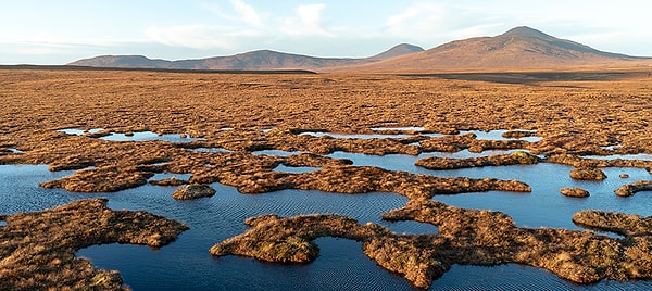 Flow Country, Caithness ve Sutherland bölgelerinde yer alan dünyanın en bozulmamış bataklık sistemlerinden biridir. Yaklaşık 2.000 kilometrekarelik bir alana yayılan bu sulak alan, bataklıklar ve çeşitli sulak bitkilerle doludur. Bu ekosistemde birçok canlı bulunur.