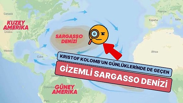 14. Kristof Kolomb'un Günlüklerinde de Geçen ve Hiçbir Kıyıya Sahip Olmayan Gizemli Deniz: Sargasso