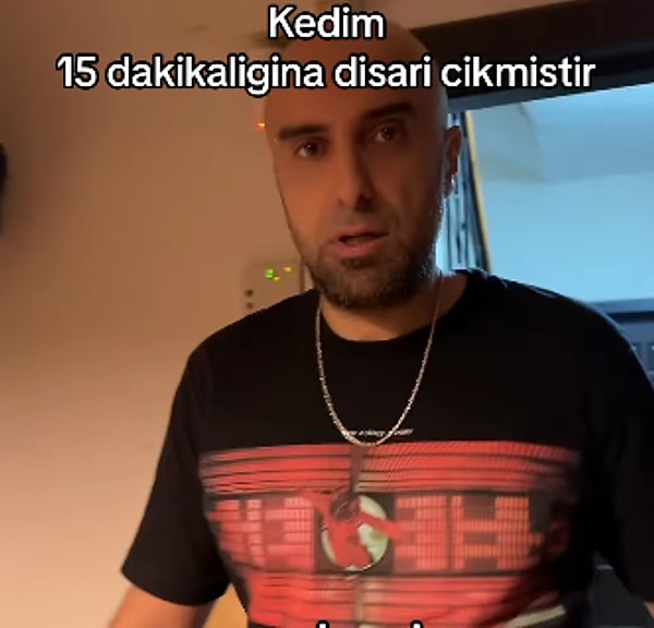 Videoda, köpeğin dışarıda oyun oynayıp çeşitli yerlere tuvaletini yaptığı, kedinin ise eve döndüğünde tek söylediği şeyin "hamileyim" olduğu esprili bir şekilde anlatıldı.