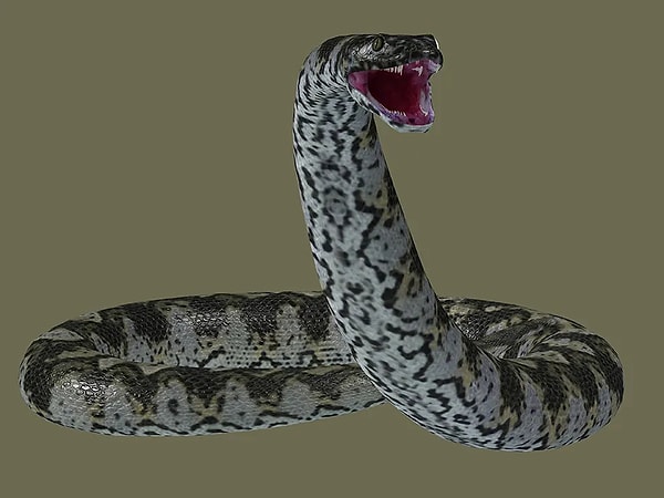 5. Titanoboa cerrejonensis: Dev Yılan