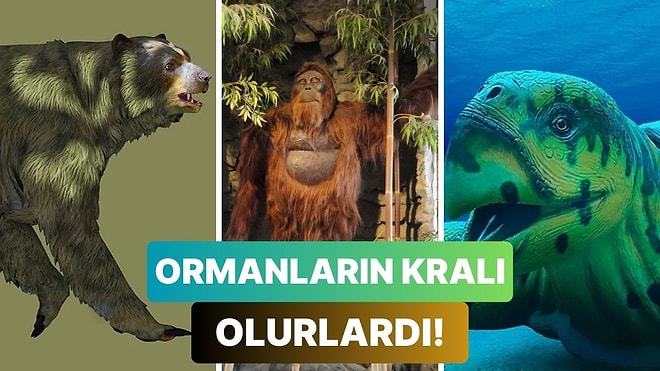 Günümüzde Yaşasa Ormanların Kralı Olabilecek Ancak Nesli Tükenmiş 10 Hayvan