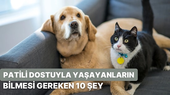 Evde Patili Dostuyla Yaşayanların Mutlaka Bilmesi Gereken 10 Şey