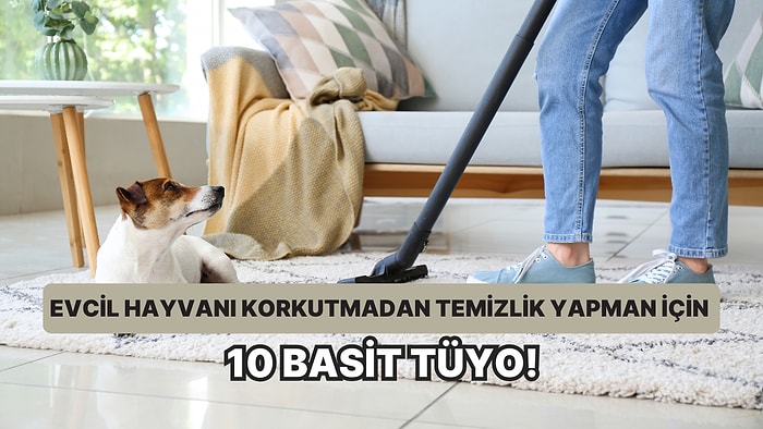 Evcil Hayvanını Korkutmadan Temizlik Yapman İçin 10 Tüyo