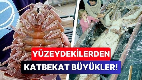 Derin Denizdeki Bazı Canlılar Nasıl Oluyor da Yüzeydekilere Kıyasla Daha Büyük Olabiliyor?