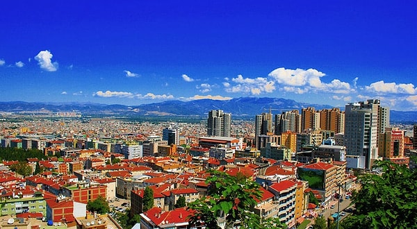 Bursa