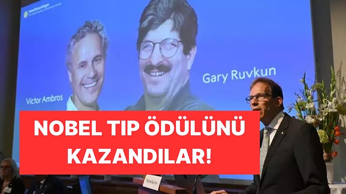 2024 Nobel Tıp Ödülü Kazananları Belli Oldu