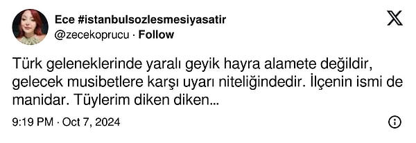 Yaralı geyiğin anlamını da Twitter'da kullanıcılar böyle yorumluyor: