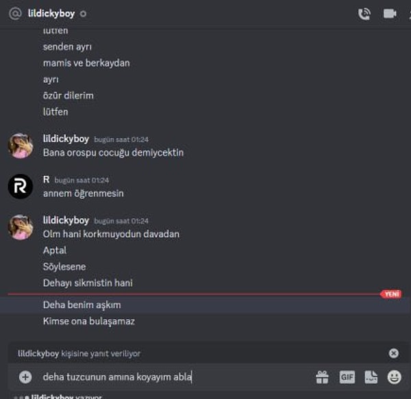 Fakat Discord'da @lildickyboy kullanıcı adına sahip olduğu iddia edilen Ecrin Su Çoban'ın Deha Tuzcu hayranlığı dikkat çekiyor.