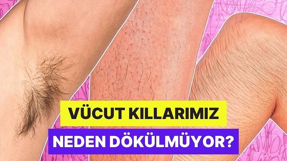 Saçlarımız Yaş İlerledikçe Azalırken Vücudumuzdaki Kıllar Neden Hep Aynı Kalır?