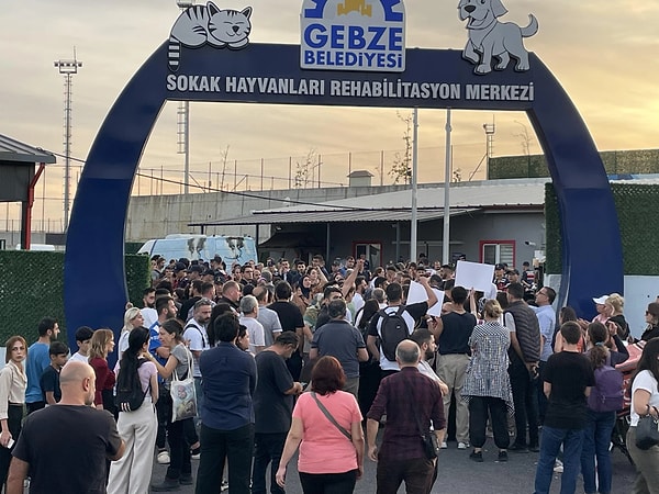 “Görüntüleri ben de seyrettim ben de çok üzüldüm. Sokaklardan cansız olarak toplanan, tedaviye cevap vermeyip ölen, barınağımızda gözetim altındayken hayatını kaybeden hayvanları bir yerde toplayıp uygun usullerle gömüyoruz. Sosyal medyaya yansıyan görüntüler rehabilitasyon merkezimize ansızın giren bir grup insanın gömülmek üzere bekletilen hayvanların cesetlerini ortaya saçması sonucu ortaya çıkmıştır. Sürecin başından sonuna kadar, kurum içinde ya da dışarıdan hepimizi derinden sarsan bu görüntülere sebep olan herkese hesabını soracağız inşallah."