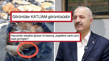 Gebze'deki Hayvan Katliamı Üzerine Belediye Başkanı Zinnur Büyükgöz'ün Açıklamalarına Tepkiler Dinmiyor