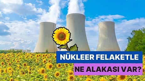 Nükleer Felaketlerin Ardından Bölgeye Ayçiçeği Dikilmesinin Ağızları Açık Bırakan Sebepleri