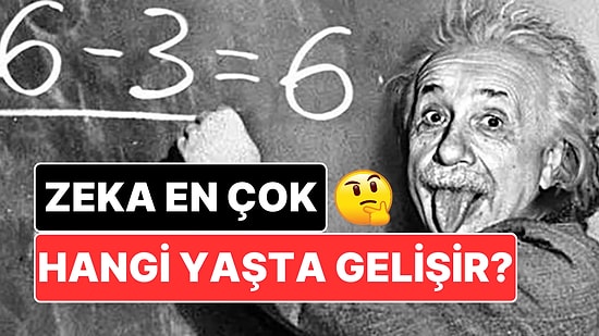 Zeka En Çok Hangi Yaşta Gelişir? Araştırma Sonuçları Bütün Bildiklerinizi Alt Üst Edecek