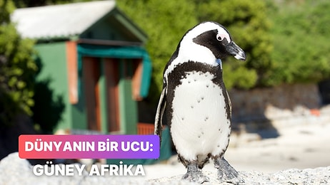 Tarihi, Coğrafyası ve Kültür Çeşitliğiyle Görülmeye Değer Dünyanın Bir Ucu: Güney Afrika