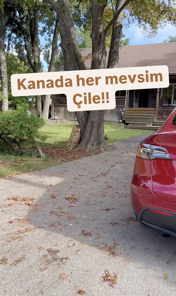 Turistlerin her yıl yoğun olarak tercih ettiği ülke olan Kanada'ya vize alamayanlarla ilgili ''Mesela Toronto şehri; Esenyurt ve Beylikdüzü'nde daha çok gezilecek yer var" dedi.