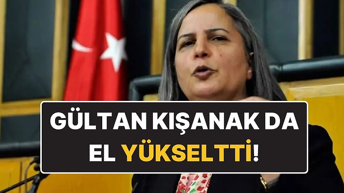 Eski Milletvekili Gültan Kışanak: "29 Ekim’de Sayın Öcalan’ın Sesini Duyabiliriz"