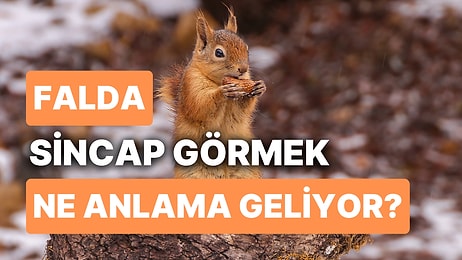 Falda Sincap Görmek Ne Demektir? Çevrenizde Hayatınızı Değiştirecek İnsanlar Var!