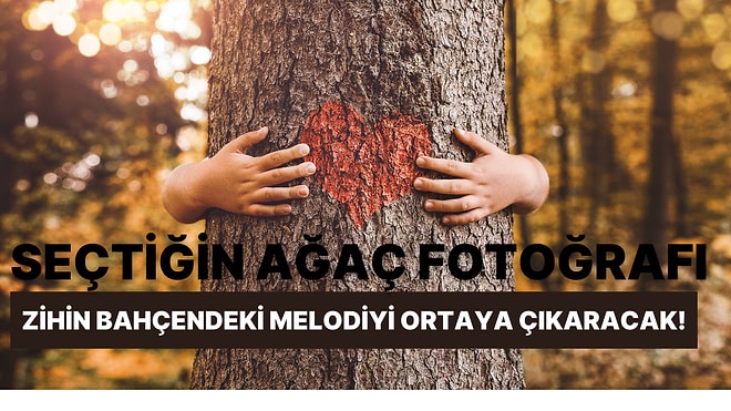 Seçtiğin Ağaç Fotoğrafı Senin Zihin Bahçendeki Melodiyi Ortaya Çıkartacak!