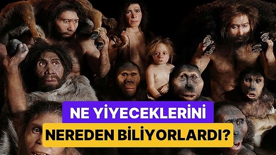 İlk İnsanlar Bilim ve Araştırmalar Olmadan Neyin Yenilip Yenilmeyeceğini Nasıl Biliyordu?