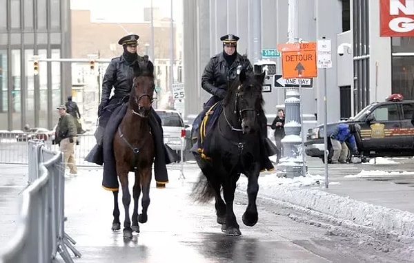 Dahası, atlı polise zarar vermek isteyen biri, büyük bir hayvana karşı çekingen davranırken bir polis aracını kolayca hedef alabilir.