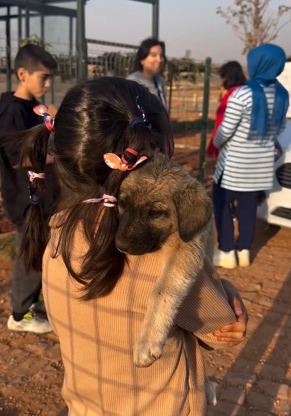 Yavru köpek de halinden oldukça memnun görünüyordu.