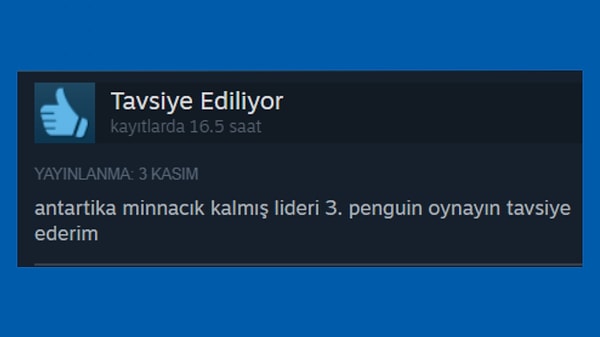 3. Penguin mi? İnsan saldırmaya kıyamaz. 🥰