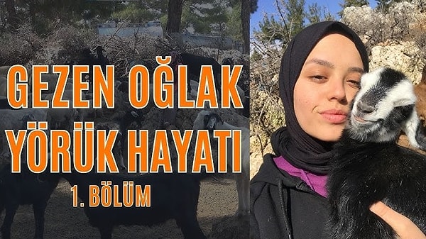 Bir diğer fenomen gezenoğlak ise son zamanlarda büyük bir çıkış yaparak Instagram'da takipçi sayısında 2 milyonlara yaklaştı.