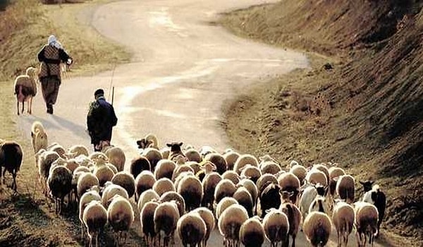 Personel açığını yurt dışından işçi ithalatıyla çözmeyi planlayan sektör temsilcileri, İçişleri ve Çalışma Bakanlığı ile görüşmeler yürütüyor. Ayrıca, yabancı çalışanlar için lojman ve konut gibi alternatif çözümler de geliştiriliyor.