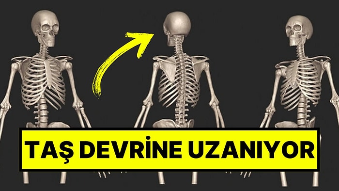 Belçika’da Farklı Çağlardan Kemiklerle Birleştirilmiş Yüzlerce Yıllık Bir İskeletin Gizemi Çözüldü