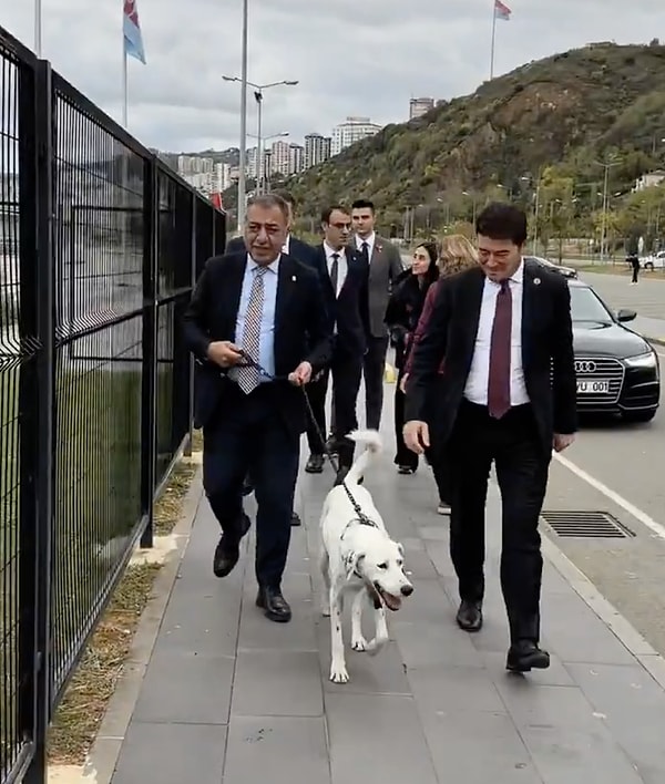 Başkan Ahmet Kaya, Zibidi adlı köpek için sahiplenme çağrısı yapıldıktan sonra Trabzonspor'un ailesine dahil olduğunu anlattı.