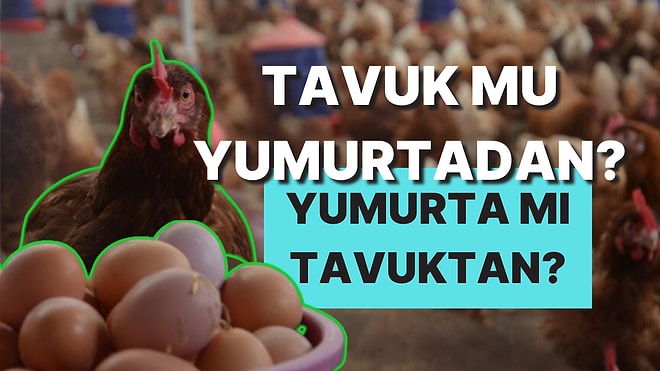 Tavuk mu Yumurtadan Yumurta mı Tavuktan Çıkar? Asırlardır Devam Eden Tartışmaya Bilim İnsanlarının Yanıtı Var!